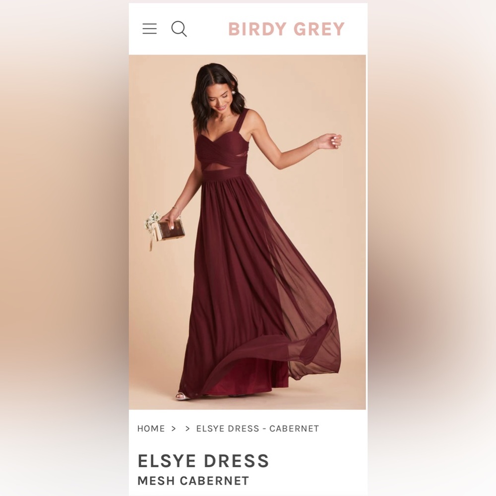 Birdy Grey Elyse bridesmaid dress. Mesh overlay. Color Cabernet